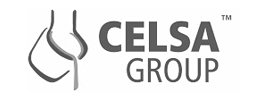 CELSA GROUP